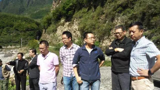 金鼎国际(中国区) - 官方网站